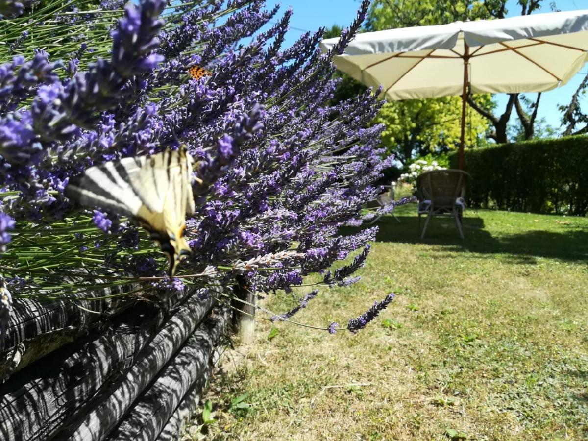 Sotto La Luna Bruna B&B Cocconato Extérieur photo