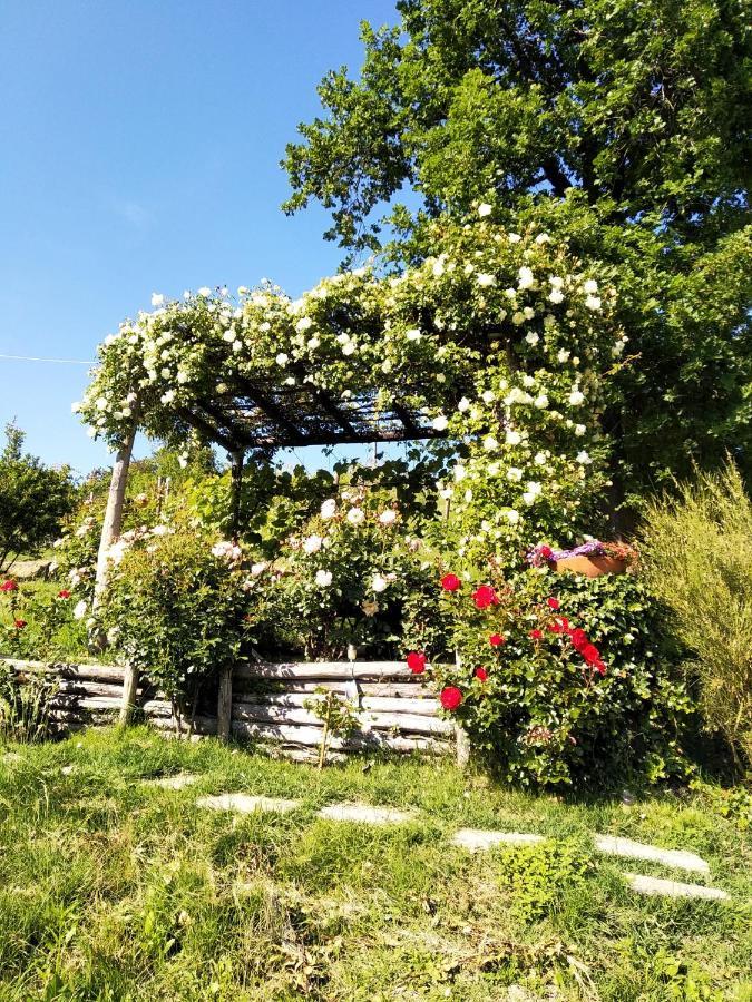 Sotto La Luna Bruna B&B Cocconato Extérieur photo